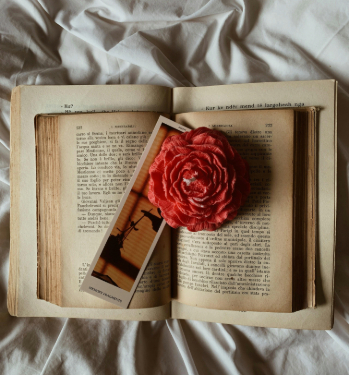 image of a bookmark that has a picture and a rose placed on it